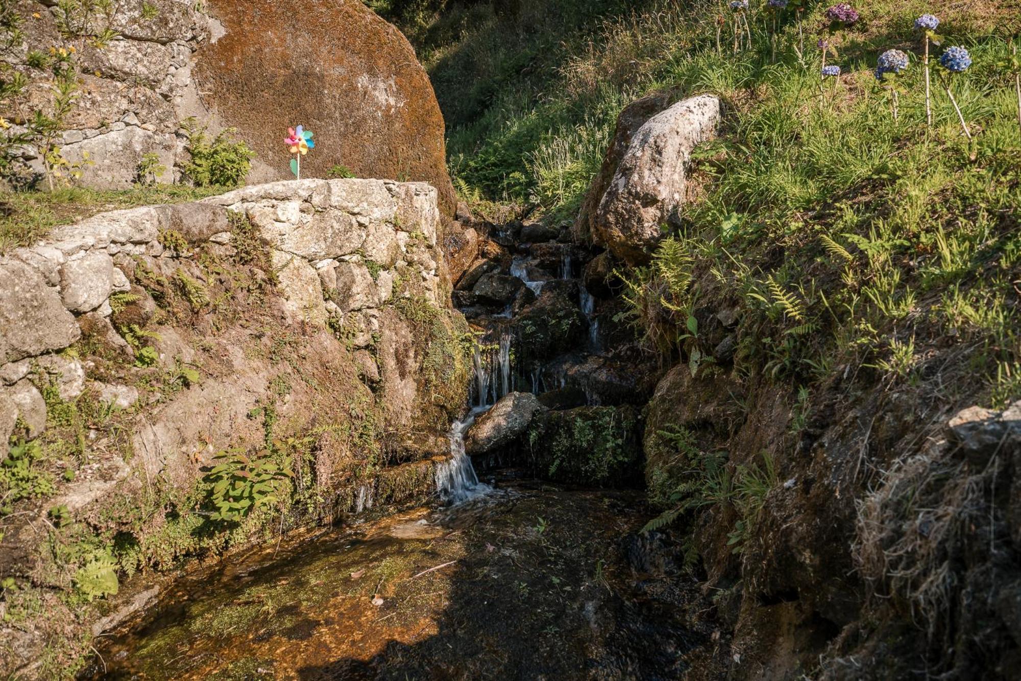 Casa Ze Manel - Turismo Rural Paranhos  Екстериор снимка
